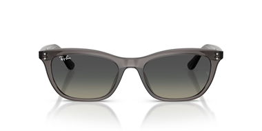 Ray-Ban 0RB 4474D 667511 54