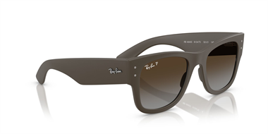 Ray-Ban 0RB 4840-S 6124/T5 50