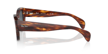 Ray-Ban 0RB 7681S 954/R5 52