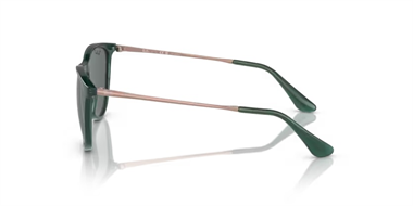 Ray-Ban Junior RJ 9060S 7130/81 50