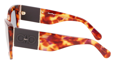 Salvatore Ferragamo SF SF1045S 609 51