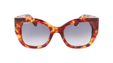 Salvatore Ferragamo SF SF1045S 609 51