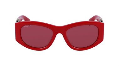 Salvatore Ferragamo SF SF1082S 600 53