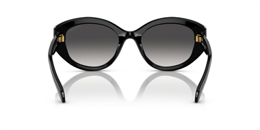 Swarovski SW 6005 10018G 53 Women Sunglasses 