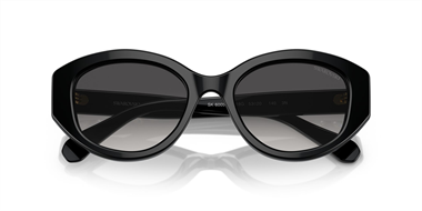 Swarovski SW 6005 10018G 53 Women Sunglasses 