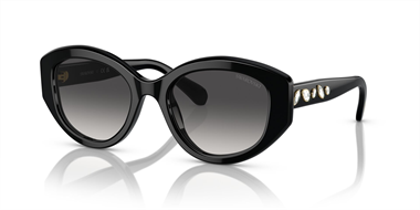 Swarovski SW 6005 10018G 53 Women Sunglasses 