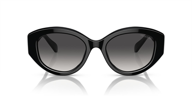 Swarovski SW 6005 10018G 53 Women Sunglasses 