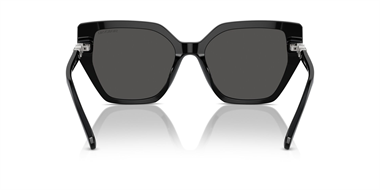 Swarovski SW 6016 100187 56 Women Sunglasses
