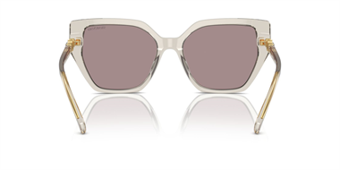 Swarovski SW 6016 3003LA 56 Women Sunglasses
