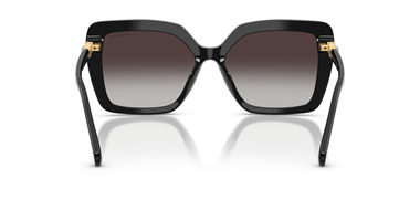 Swarovski SW 6049 10018G 57 Women Sunglasses