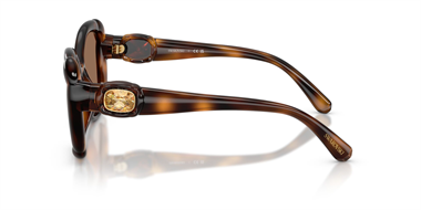 Swarovski SW 6051U 100273 53 Women Sunglasses