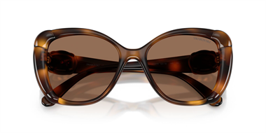 Swarovski SW 6051U 100273 53 Women Sunglasses