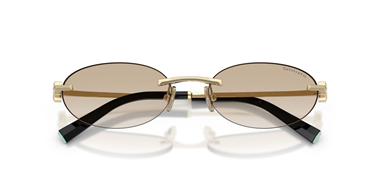 Tiffany & Co 3119D 623911 56 Women Sunglasses