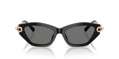 Tiffany & Co 4231-U 8001/81 53