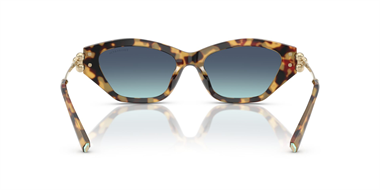 Tiffany & Co 4231-U 8064/9S 53