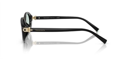 Tiffany & Co TC 4242-D 8001/D9 54