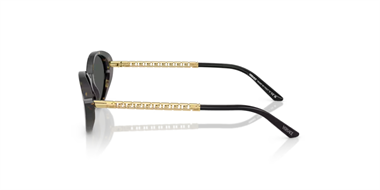 Versace 0VE 4469 5470/87 54