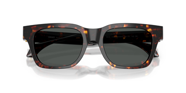 Versace 0VE 4486 5509/87 52