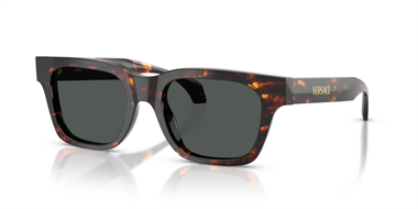 Versace 0VE 4486 5509/87 52