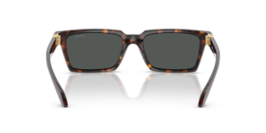 Versace 0VE 4490-U 108/87 55