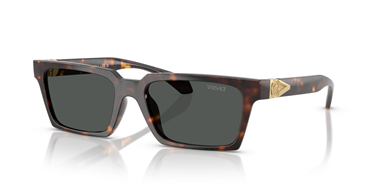 Versace 0VE 4490-U 108/87 55