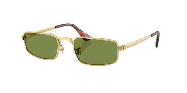 Ray-Ban RB 3927 Unisex Güneş Gözlüğü