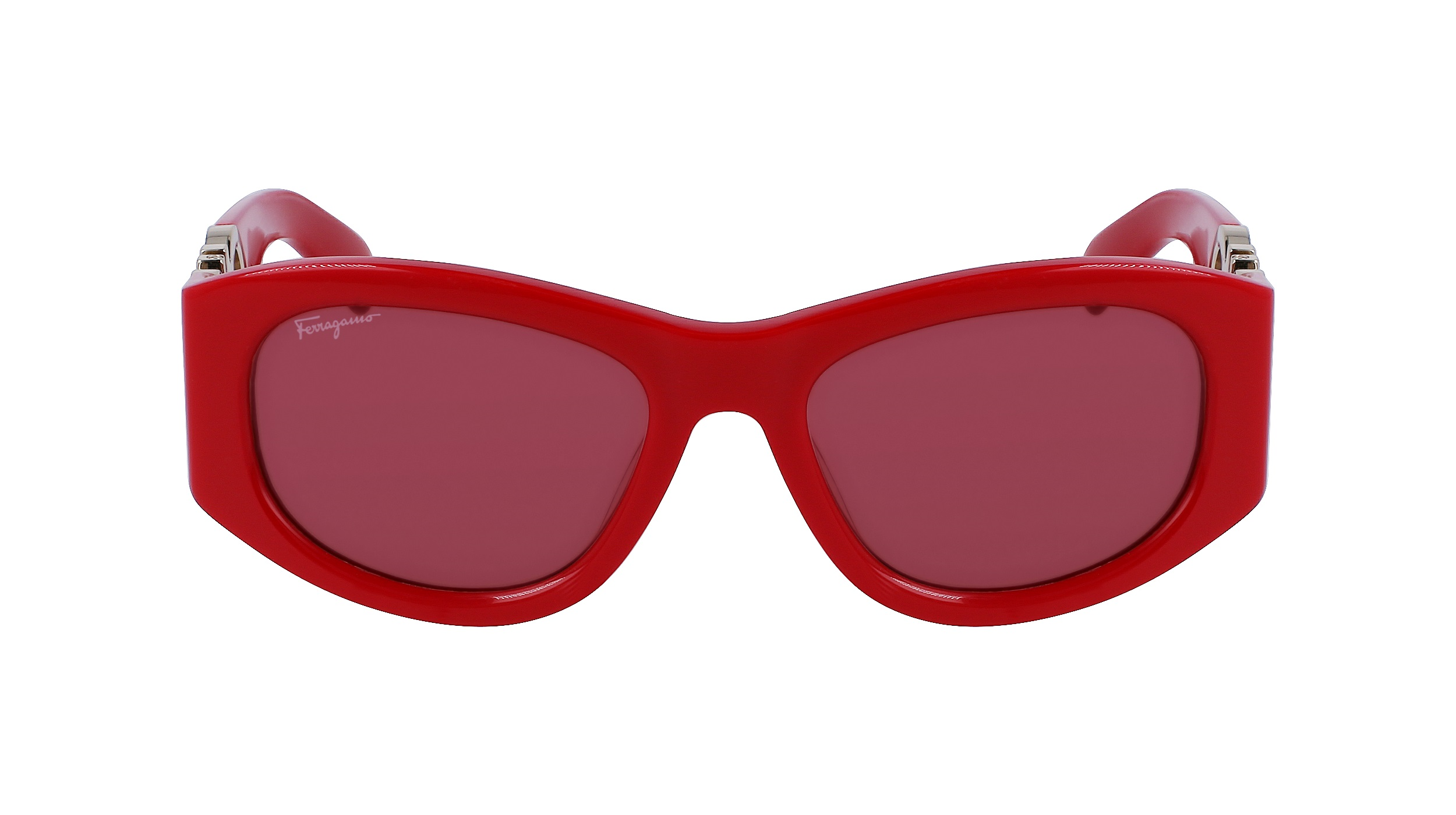 Salvatore Ferragamo SF SF1082S 600 53 Kadın