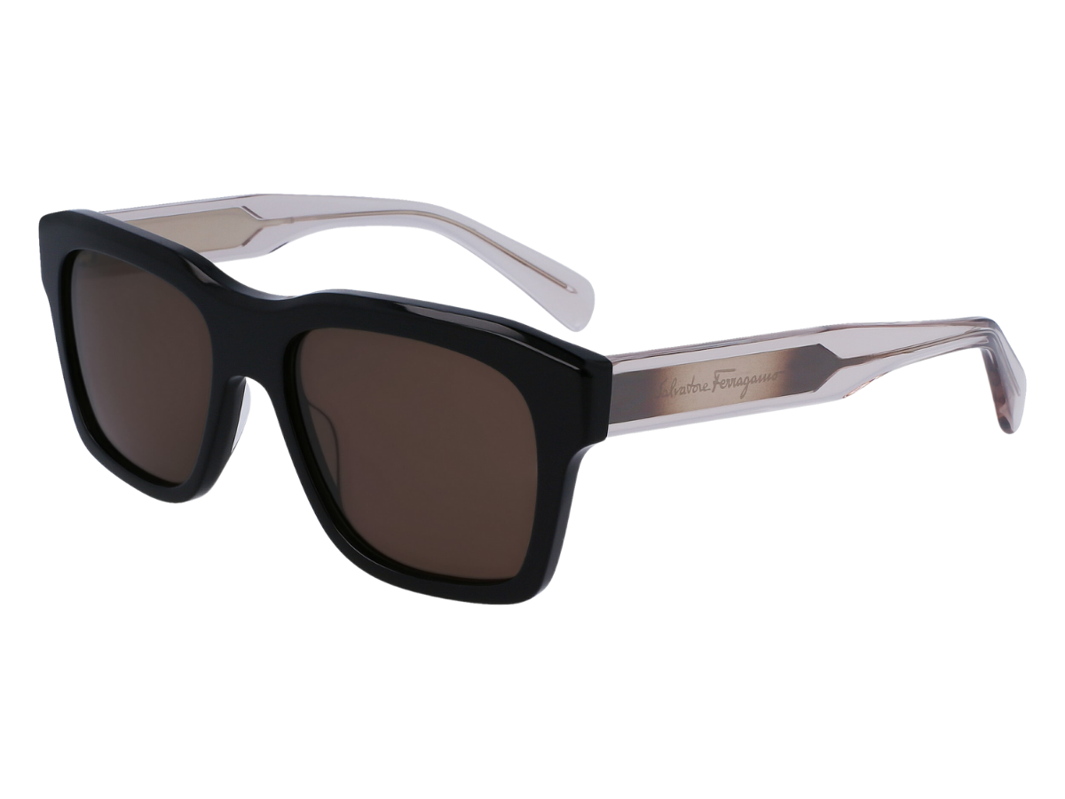 Salvatore Ferragamo SF SF1087S 001 56 Unisex