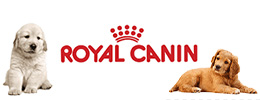 Royal Canin Köpek Maması Çeşitleri ve Fiyatları