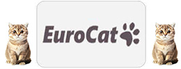 Euro Cat Kedi Ödül ve Tasmaları