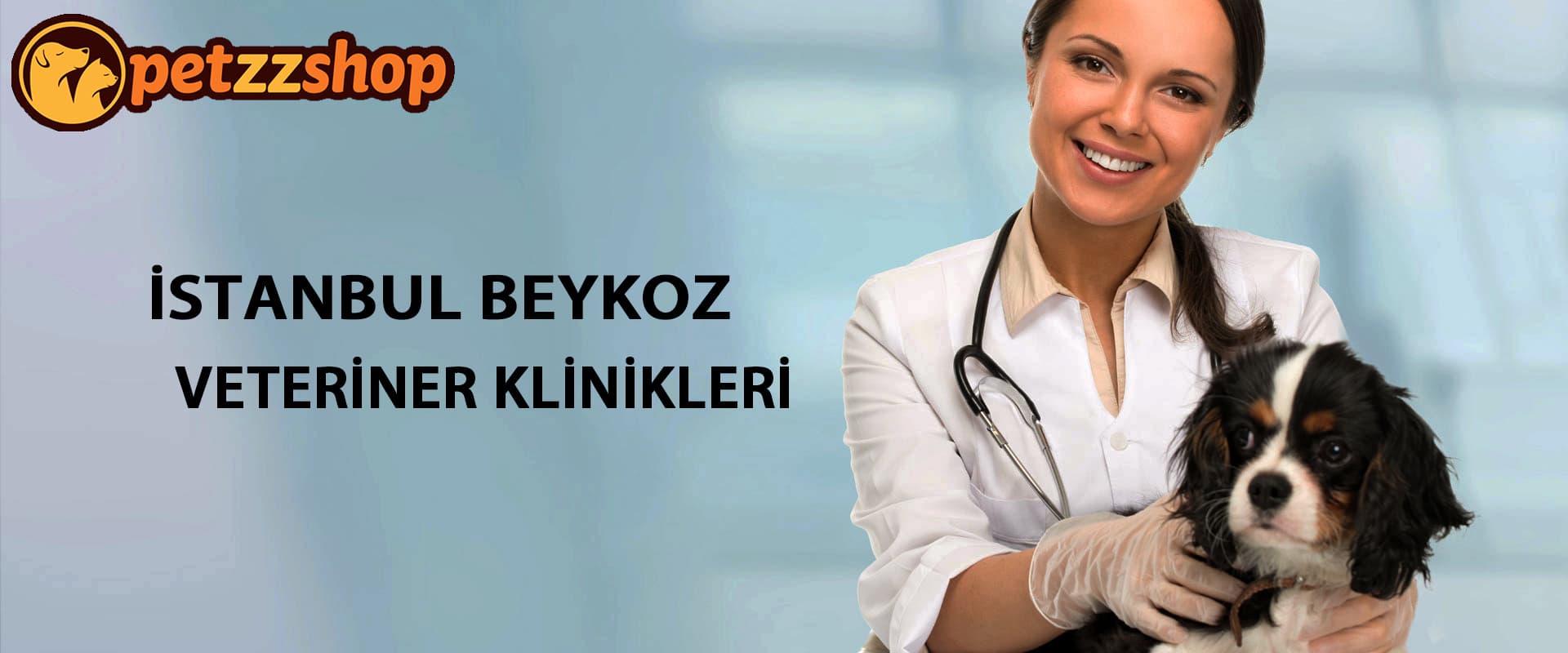 İstanbul Beykoz Veteriner Klinikleri
