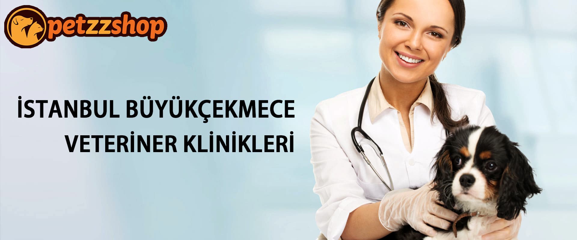 Büyükçekmece Veteriner Klinikleri