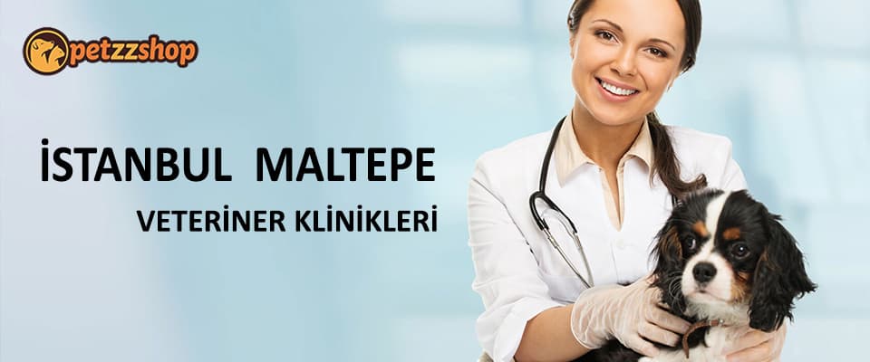 İstanbul Maltepe Veteriner Klinikleri