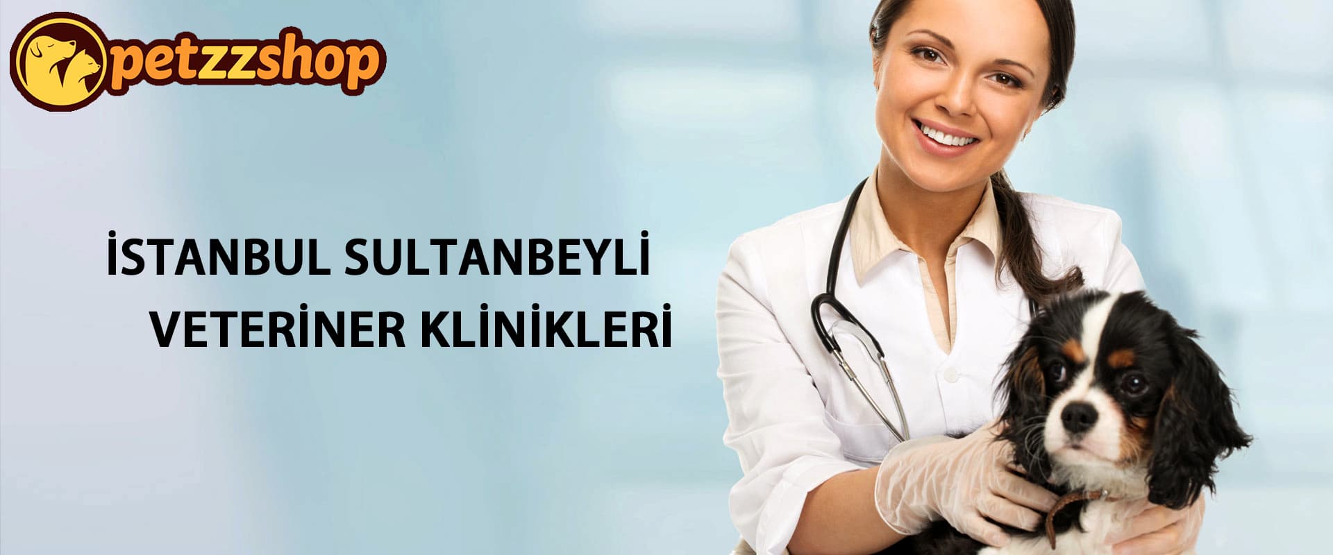 Sultanbeyli Veteriner Klinikleri