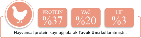 Havyansal protein kaynağı olarak sığır eti proteini kullanılmıştır.