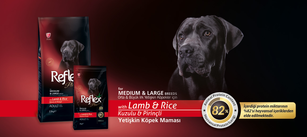 Reflex Plus Orta ve Büyük Irk Kuzu Etli Yetişkin Köpek Maması