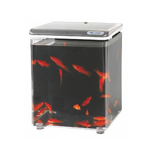 Aquasyncro Fish Home Filtreli ve Işıklı Nano Akvaryum