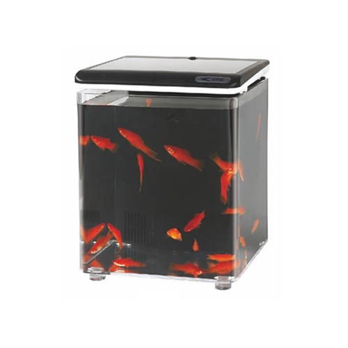Aquasyncro Fish Home Filtreli ve Işıklı Nano Akvaryum