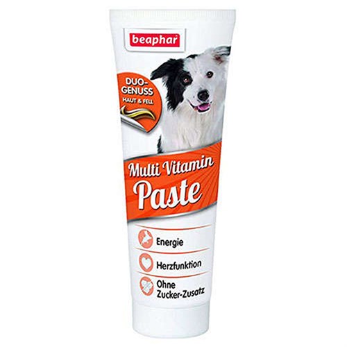 Beaphar Duo Active Multivitamin Paste Köpek Vitamin Macunu