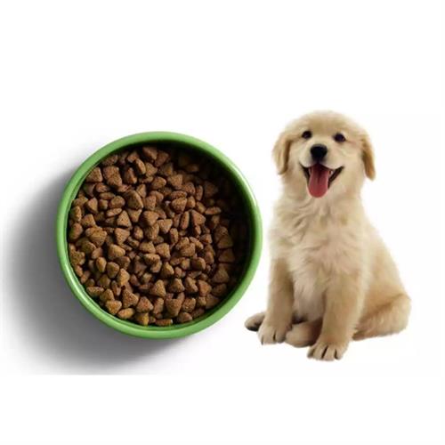 Brit Veterinary Diet Hypo-Allergenic Tahılsız Cilt Sağlığı Destekleyici Somonlu Köpek Maması