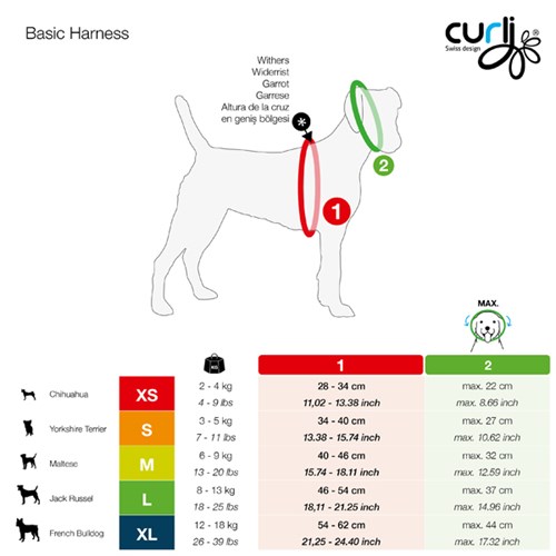 Curli Basic Air-Mesh Köpek Göğüs Tasması