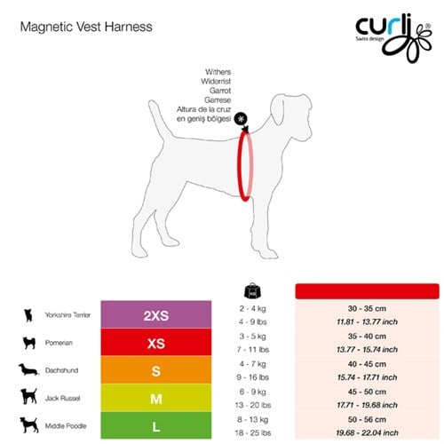 Curli Magnetic Vest Harnes Köpek Göğüs Tasması