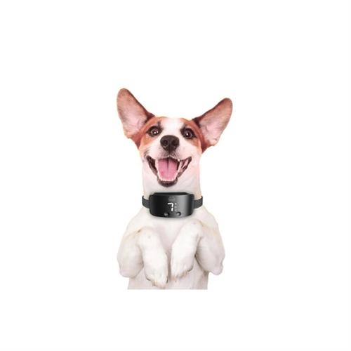 Doggie Premium Havlama Önleyici Köpek Eğitim Tasması