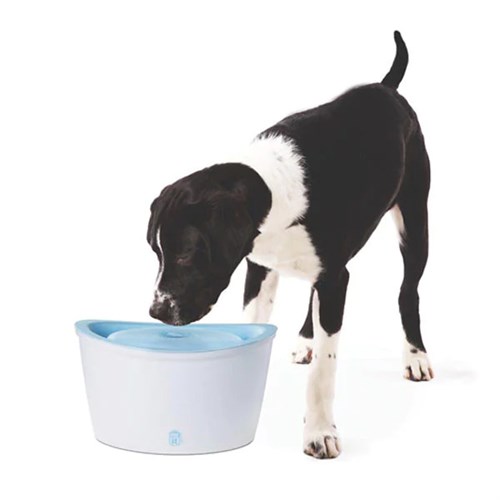 Dogit Fresh Clear Kedi ve Köpek Plastik Su Kabı
