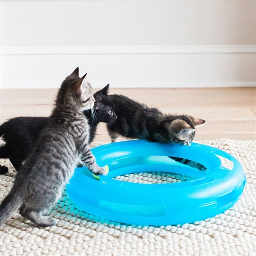 Fat Cat Crazy Circle Toplu Kedi Oyuncağı