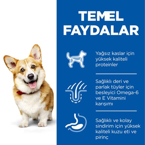 Hills Adult Small Küçük Irk Kuzulu Yetişkin Köpek Maması