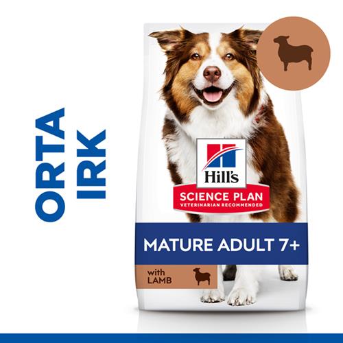 Hills Mature Senior +7 Medium Orta Irk Kuzu Etli Yaşlı Köpek Mamasi