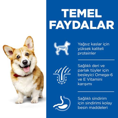 Hills Small & Mini Adult Tavuklu Köpek Maması