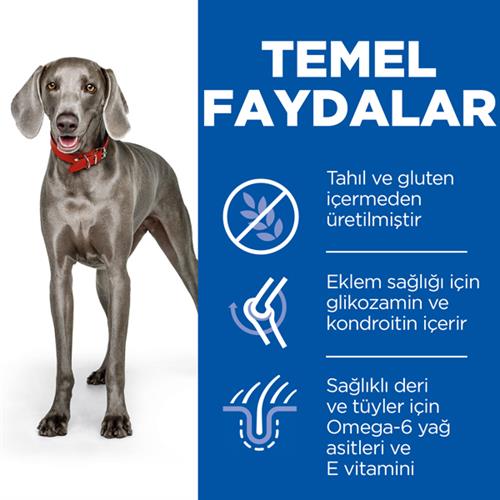 Hills Tahılsız Tavuklu Büyük Irk Yetişkin Köpek Maması