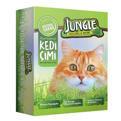 Jungle Fileli Kutu Kedi Çimi